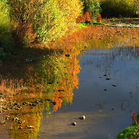 riflessi d'autunno di 