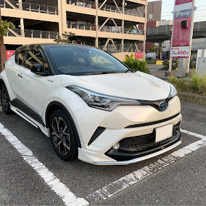 C-HR ZYX10