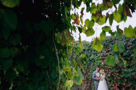 Wedding photographer Oleg Nemchenko (olegnemchenko). Photo of 19 October 2017