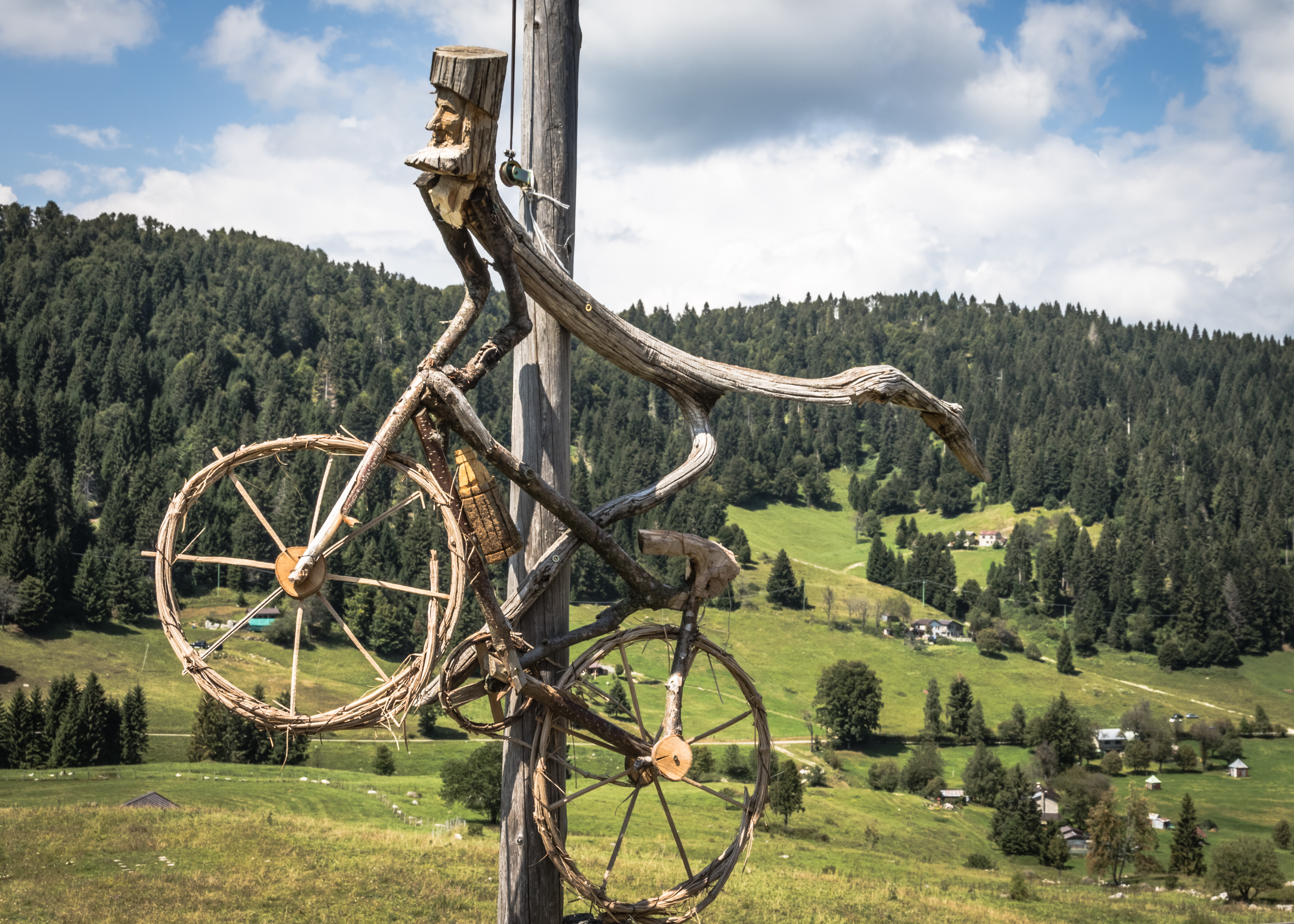 Wood-bike di VIC61