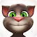 Talking Tom Cat icon