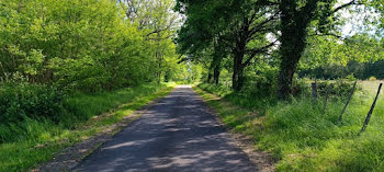 terrain à Orléat (63)