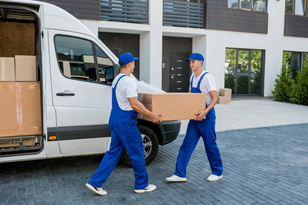different moving services, storage services