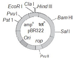 Solution Image