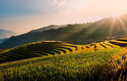 Nine terraced fields small promo image