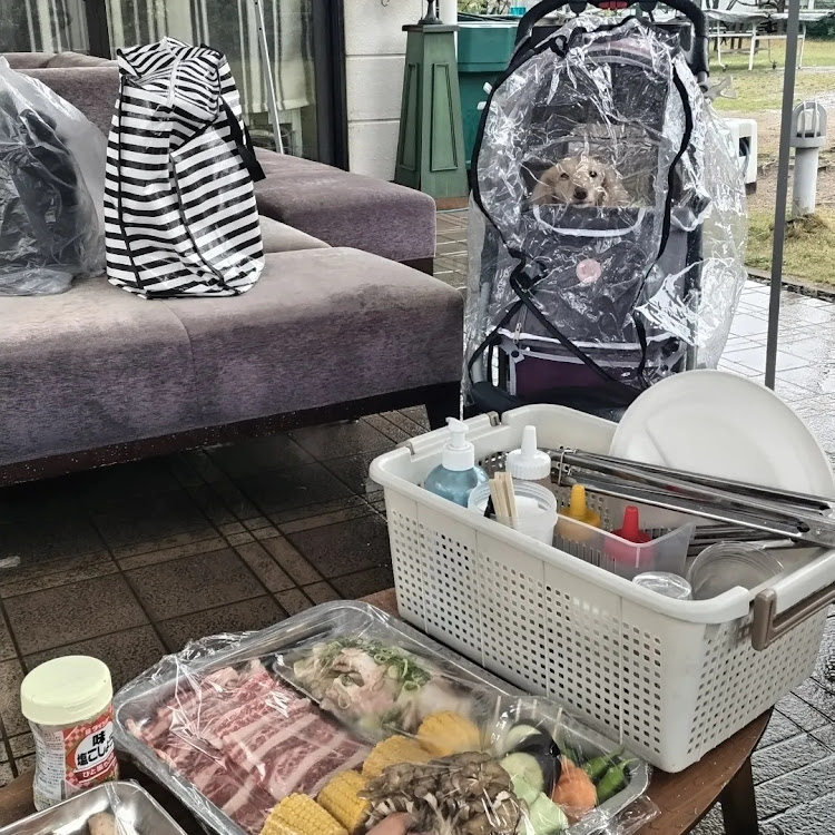 TUBESTさんが投稿した雨・BBQ・愛犬・ミニチュアダックスフンド・楽しい時間に関するカスタム事例の投稿画像3枚目