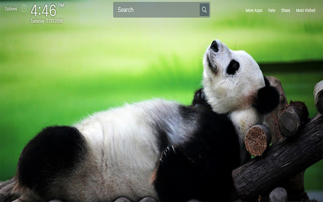 Panda Wallpapers New Tab