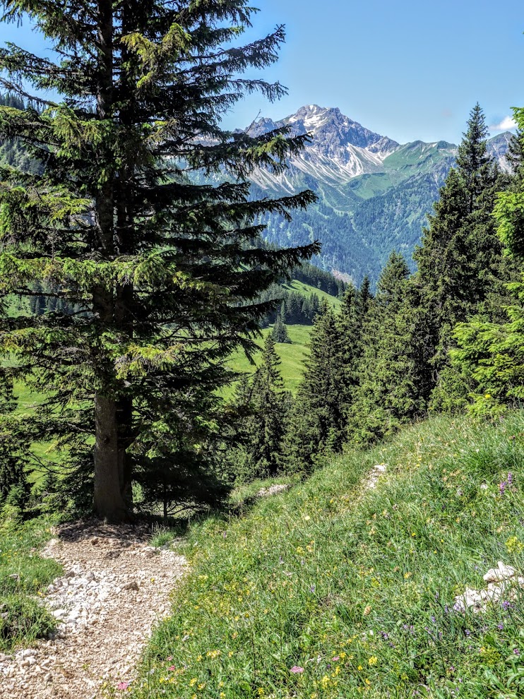 Hinterstein Willersalpe Hindelang Aufstieg Zirlseck Blick Großer Daumen Allgäu primapage 