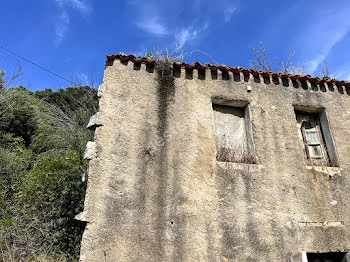 terrain à Conca (2A)