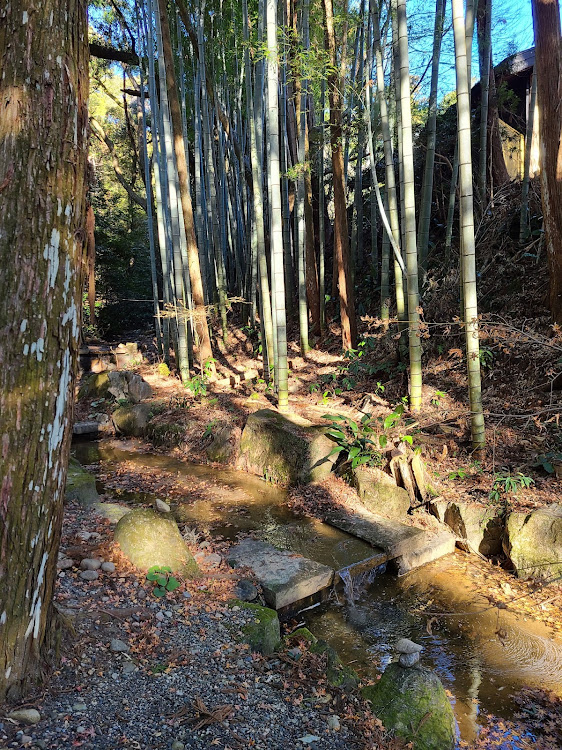 の投稿画像38枚目