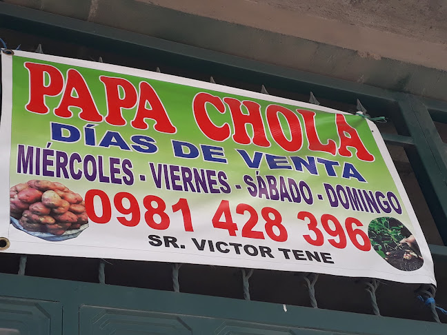 Papa Chola - Quito