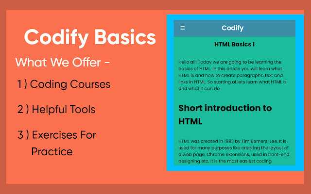 Codify Basics - Learn Coding