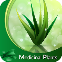 Medicinal Plants  Herbs  Their Uses