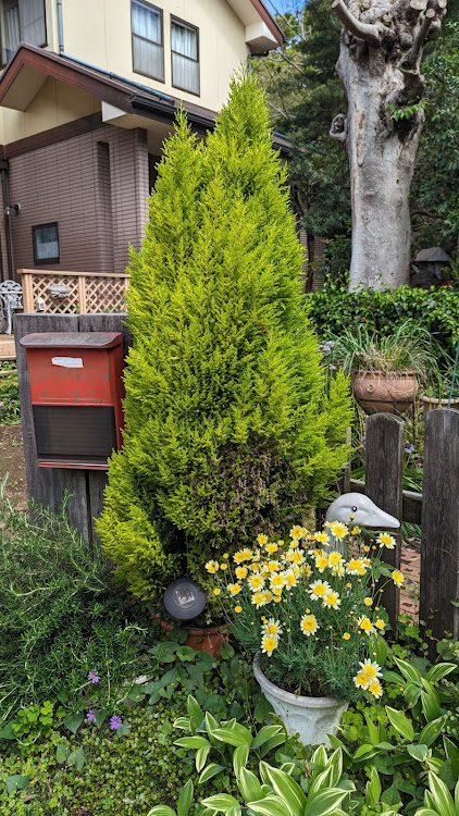 バモスホビオの洗車、コーティング・ハルウララ・除草剤散布・レモン・山ウドに関するカスタム事例の投稿画像6枚目