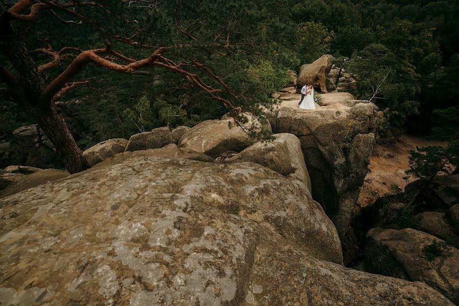 Fotógrafo de casamento Vasil Dochinec (vasilij33). Foto de 2 de agosto 2018