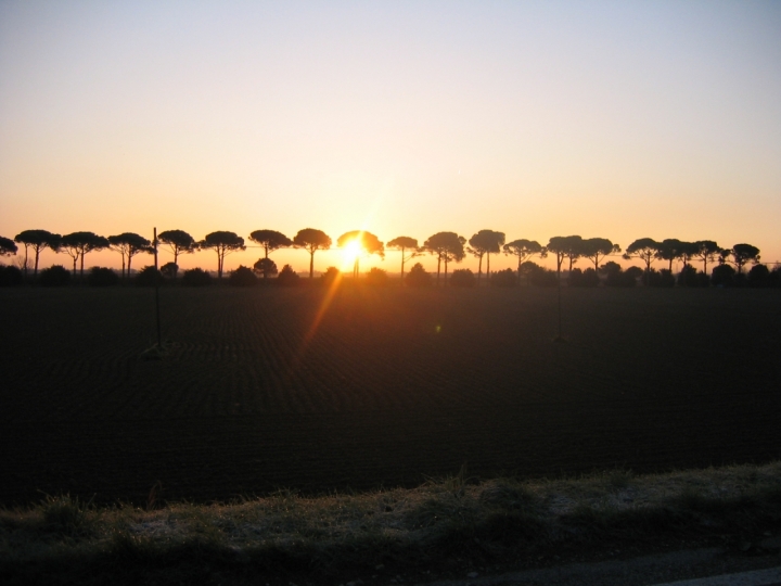 Al sorgere del sole di renarena