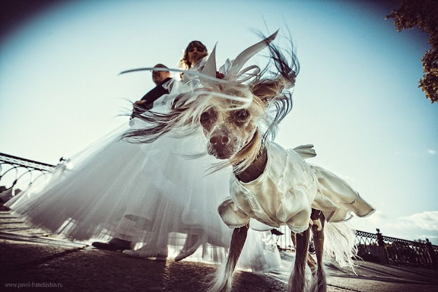 Photographe de mariage Pavel Franchishin (franchishin). Photo du 25 août 2013