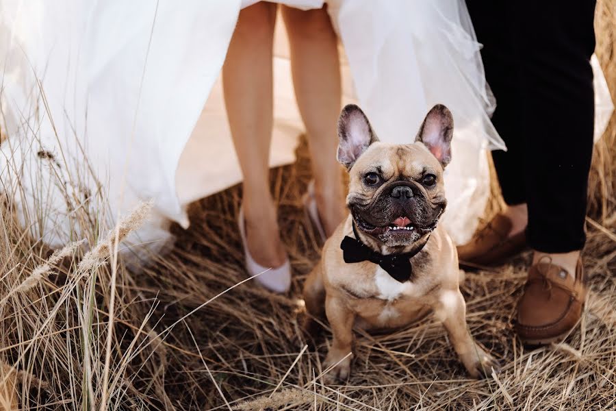 Wedding photographer Liliya Kienko (leekienko). Photo of 9 September 2018