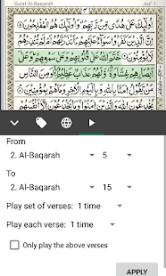 Hafizi Quran 15 Lines (Audio+Translation+Bookmark)(圖9)-速報App