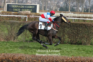 Prix Lutteur III 2015 (St., L., Auteuil) 22-03 : Amirande FgJF-ptdKw21w16Lh1kQlI7Y7Zf2eWSPVaPBEniJxjeN=w310-h207-p-no