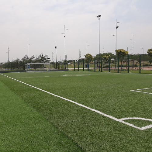 Canchas De FúTbol De CéSped SintéTico