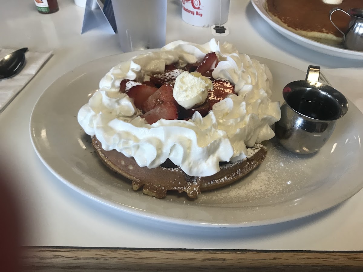 Gluten free waffle with strawberries and whipped cream