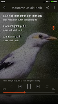 Download Mp3 Suara Burung Jalak Putih Apk Latest Version 1 0 For