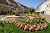 st. veit city center, fountain and house facades