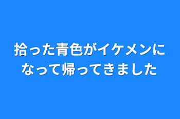 拾った青色がイケメンになって帰ってきました