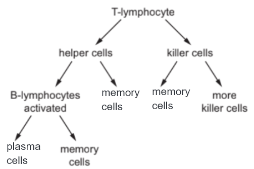 Solution Image