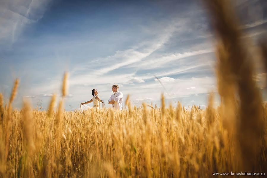 Fotógrafo de casamento Svetlana Shabanova (shabanovasl). Foto de 19 de agosto 2017