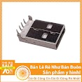 Linh Kiện Đầu Usb A Cắm
