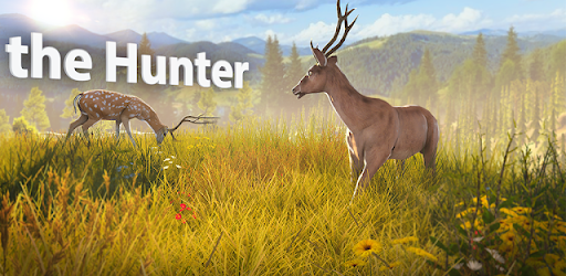 Deer Hunt Gun Games Offline