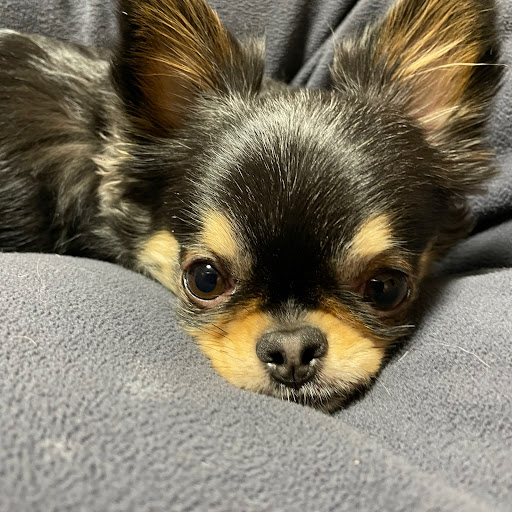 げんのプロフィール画像