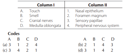 Epithelial Tissues or Epithelia