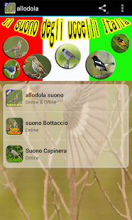 Allodola Uccello - náhled