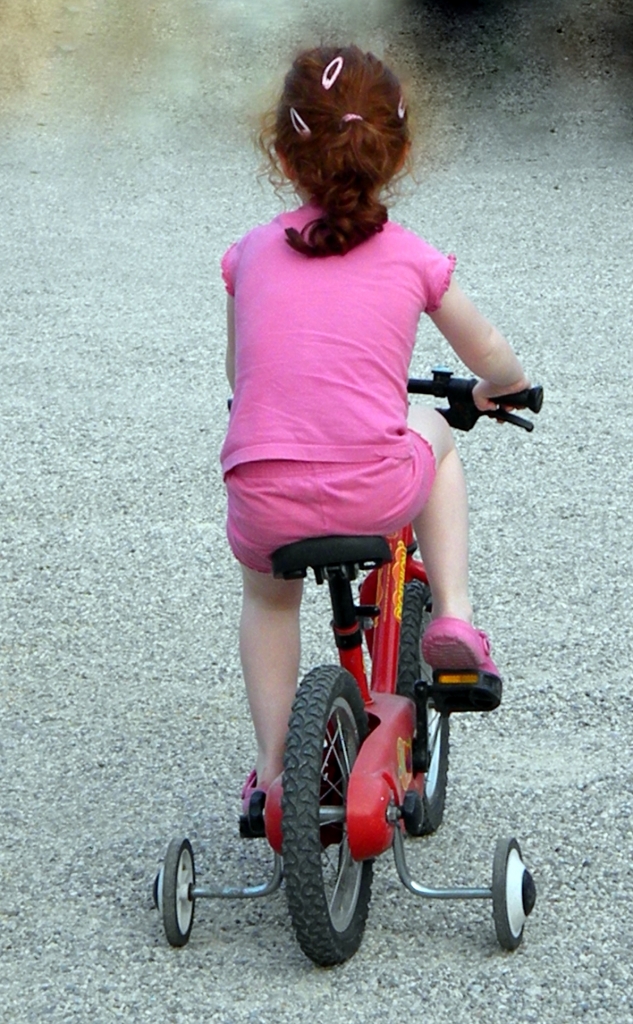 Giro.... con la maglia rosa di delfino curioso