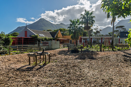 House with garden and mountain background in this luxury house for sale in Cape Town ($1,161,812)