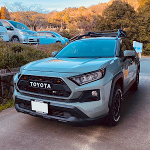 RAV4 MXAA52