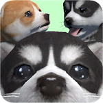 Cover Image of Descargar lindo perrito de bolsillo 3d - parte 2 1.0.5.3 APK