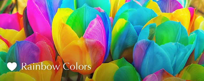 Rainbow Colors HD Wallpaper New Tab Theme marquee promo image