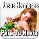 Download Flores y Ramos De Rosas Para Mi Novia Gratis For PC Windows and Mac