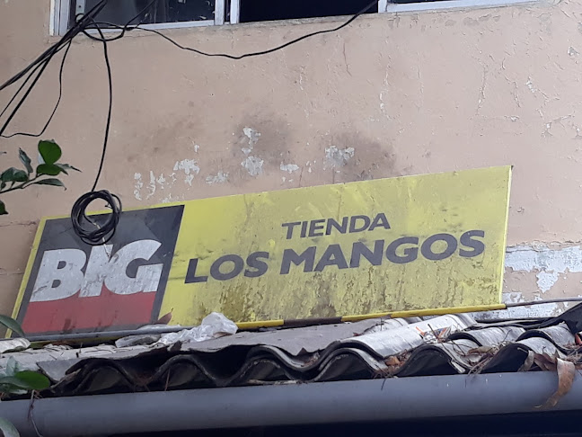 Tienda Los Mangos - Guayaquil