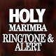 Download Holy Marimba Ringtone and Alert For PC Windows and Mac 1.0