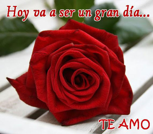 Amor de una rosa Mujer hermosa