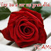 Imagenes De Buenos Dias Amor Con Rosas