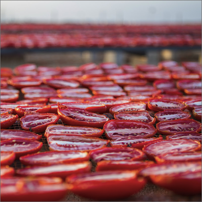 Pomodori al sole di carlobaldino