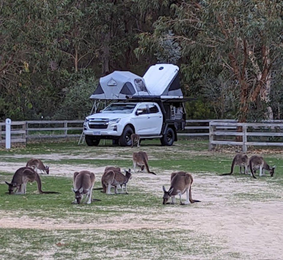 Perth 4x4 Rental