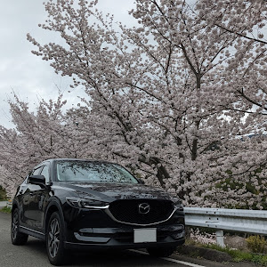 CX-5 KF2P