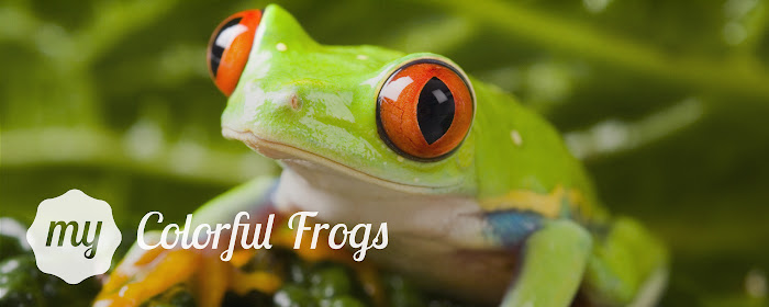 My Colorful Frogs - Lovely Frog HD Wallpapers marquee promo image